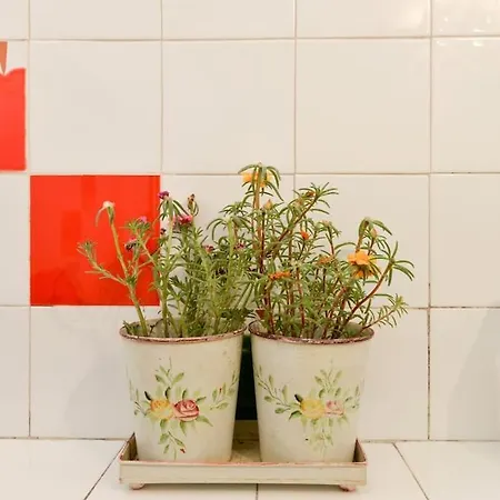 Spacious Mauro & Pia In Center Of Zadar