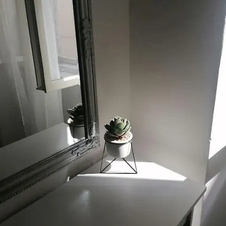 Spacious Mauro & Pia In Center Of Zadar